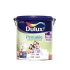 Dulux Pentalite Light Interior Paint 1