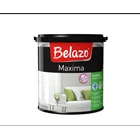 Belazo maxima  1
